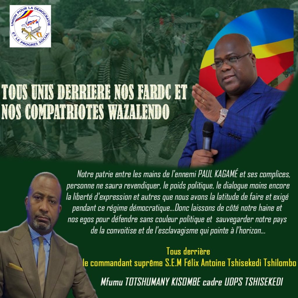 Guerre à l’Est : Totshumani Kisombe appelle les congolais à l’unité pour vaincre l’ennemi