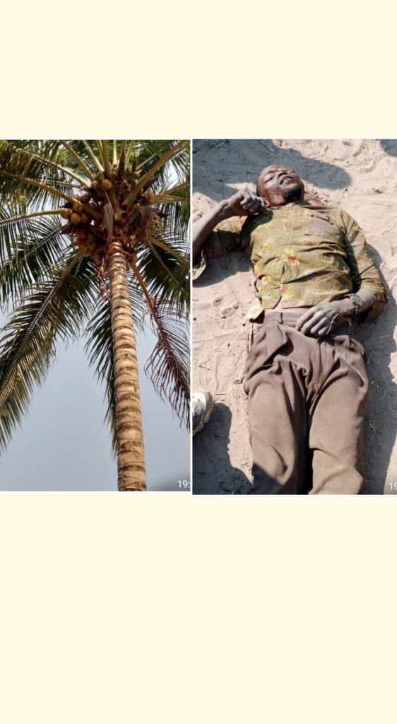 Kazumba : Un menuisier décède tragiquement en chutant d’un cocotier